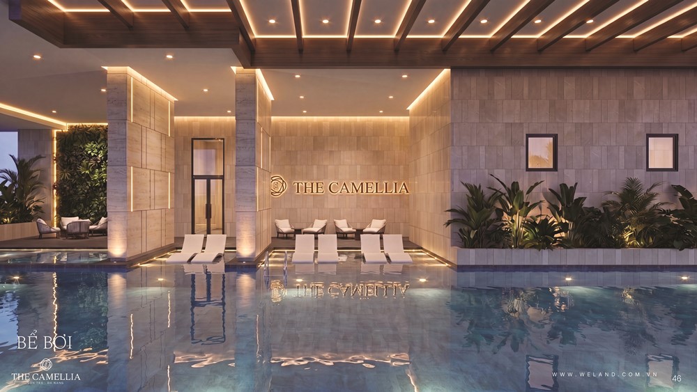 Bể bơi - The Camellia